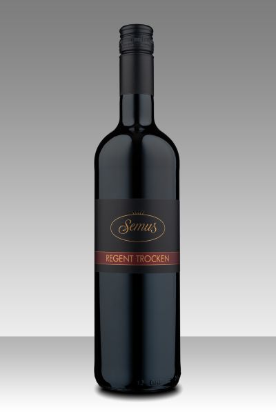 Produktbild von: <br>2022er Regent trocken 0,75l<br>